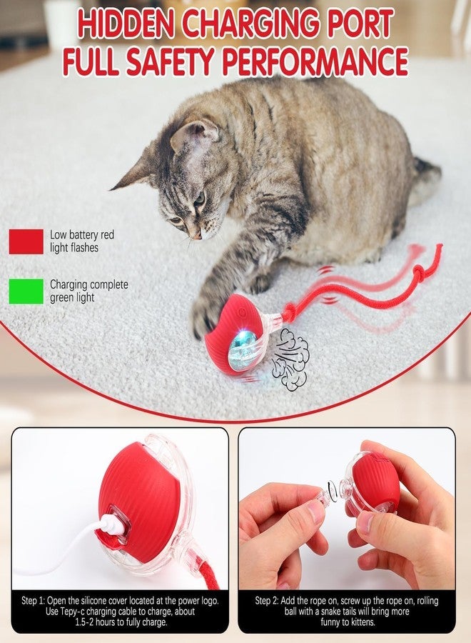 PRETOX Interactive Cat Toy - Cat Toys for Indoor Cats Smart Silicone Rolling Ball with Tail,Bird Sound,Obstacle Avoidance and Motion Activated,Kitten Puzzle Toys 1 PCS (Multicolor) - Image 3